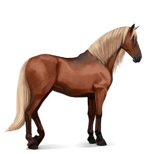 jezdecký kůň andaluský kůň světlý ryzák