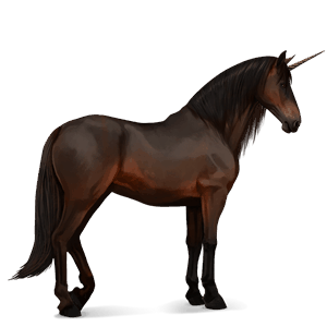 jezdecký jednorožec andaluský kůň Černý hnědák