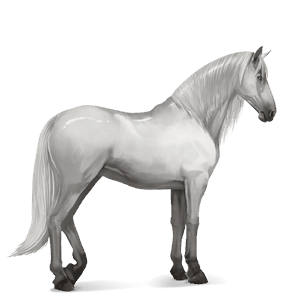 jezdecký kůň anglický plnokrevník bělouš