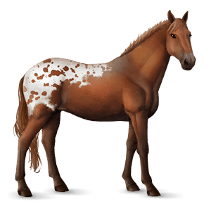 jezdecký kůň mustang ryzák