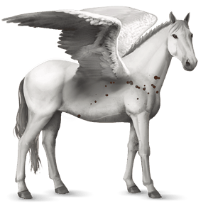 ponypegas new forest smíšený bělouš