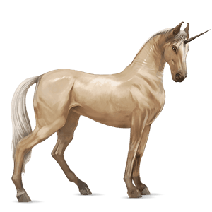 jezdecký jednorožec marwari palomino