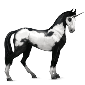 jezdecký jednorožec achaltekinský kůň hnědák