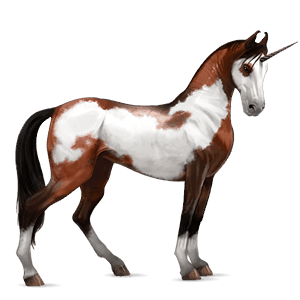 jezdecký jednorožec american paint horse ryzák overo
