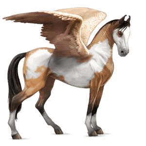 jezdecký pegas anglický plnokrevník palomino