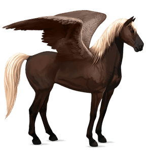 jezdecký pegas american paint horse Černý hnědák tobiano