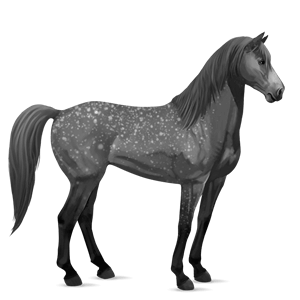 jezdecký kůň mustang ryzák