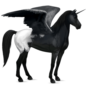 okřídlený jezdecký jednorožec mustang vraník