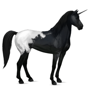 jezdecký jednorožec mustang black blanket