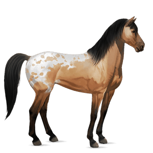 jezdecký kůň mustang ryzák