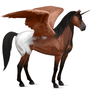 okřídlený jezdecký jednorožec appaloosa bay blanket