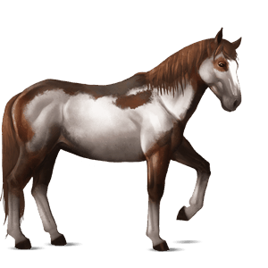 jezdecký kůň quarter horse palomino