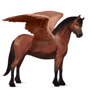 ponypegas connemara hnědák