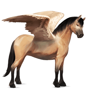 ponypegas kerry bog ryzák tobiano