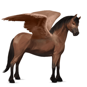 ponypegas belgický poník hnědák