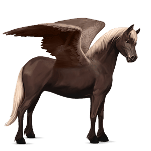 ponypegas Černý ryzák