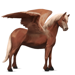 ponypegas haflinger světlý ryzák