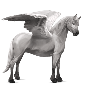 ponypegas kerry bog bělouš
