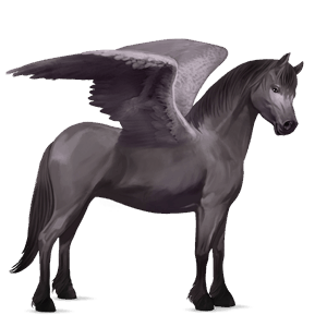 ponypegas novofoundlandský pony myšák