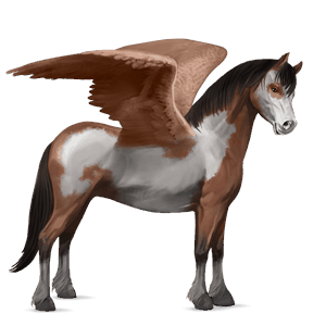 ponypegas fjordský kůň gulblakk
