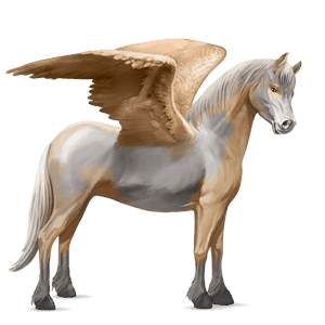 ponypegas haflinger světlý ryzák