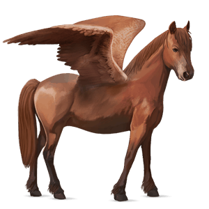 ponypegas velšský kůň ryzák