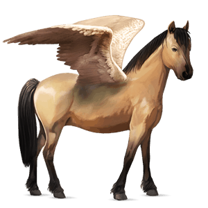 ponypegas highland pony plavák