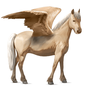 ponypegas velšský kůň tmavý hnědák