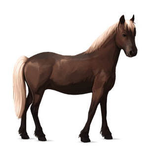 poník novofoundlandský pony játrový ryzák