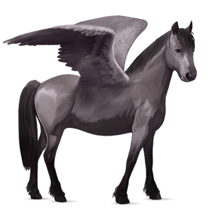 ponypegas velšský kůň smíšený bělouš