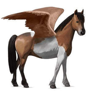 tažný pegas drum horse hnědák tobiano