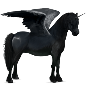 okřídlený poníkorožec  novofoundlandský pony hnědák