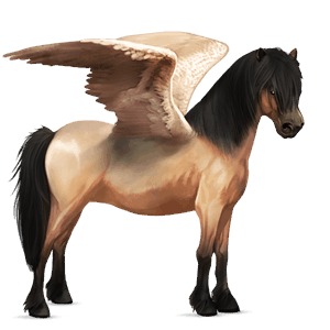 ponypegas new forest plavák