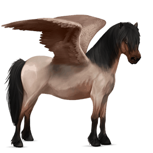 ponypegas shetlandský pony Černý hnědák