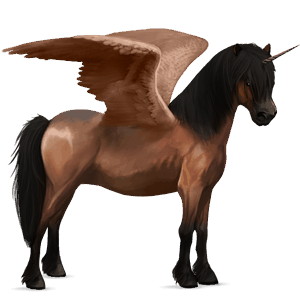 okřídlený poníkorožec  haflinger palomino