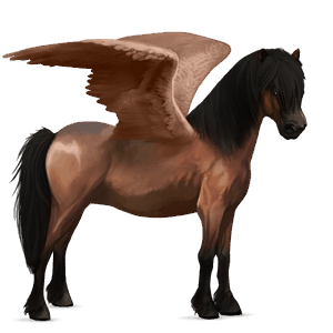 ponypegas shetlandský pony vraník tobiano