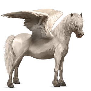 ponypegas velšský kůň smíšený bělouš