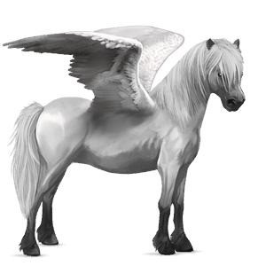 ponypegas shetlandský pony myšák