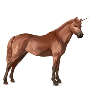 poníkorožec haflinger světlý ryzák