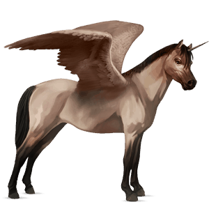 okřídlený poníkorožec  shetlandský pony tmavý hnědák