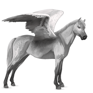 ponypegas velšský kůň smíšený bělouš