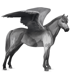 ponypegas velšský kůň smíšený bělouš