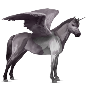 okřídlený poníkorožec  novofoundlandský pony Černý hnědák