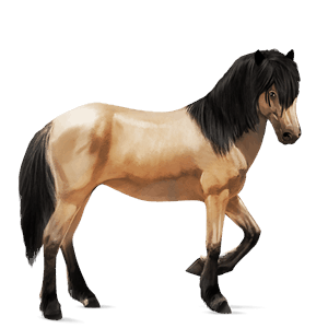 jezdecký kůň mustang plavák