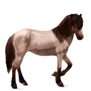 jezdecký kůň francouzský jezdecký kůň Červený bělouš