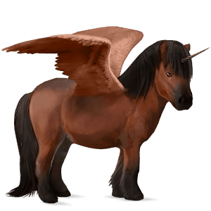 okřídlený poníkorožec  shetlandský pony tmavý hnědák