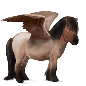ponypegas hnědý bělouš