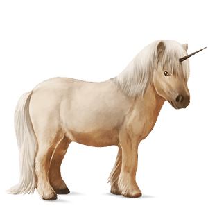 poníkorožec shetlandský pony smíšený bělouš