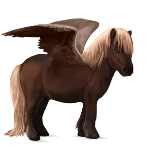 ponypegas shetlandský pony smíšený bělouš