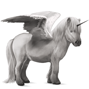 okřídlený poníkorožec  shetlandský pony smíšený bělouš